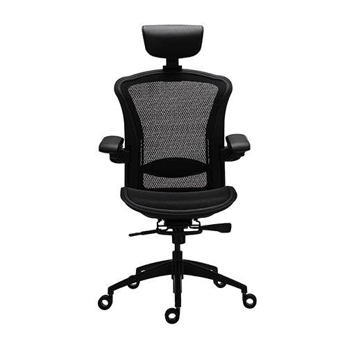 Alphaeon e5 - FIN SHOP AUErgonomic Chair