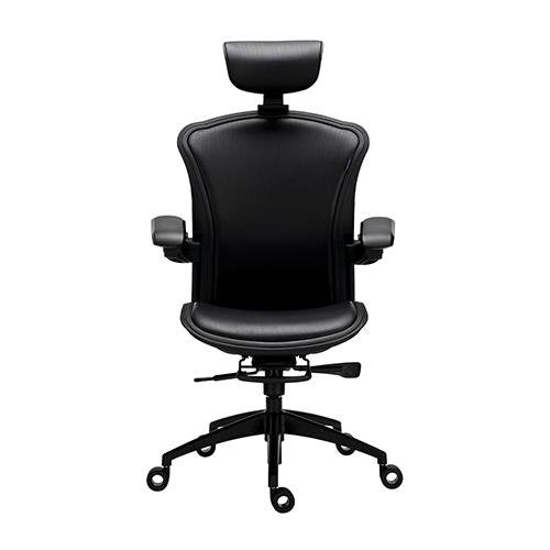 Alphaeon e5 Hybrid - FIN SHOP AUErgonomic Chair