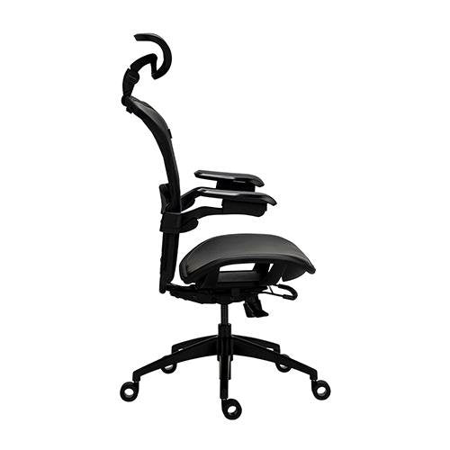 Alphaeon e5 Hybrid - FIN SHOP AUErgonomic Chair