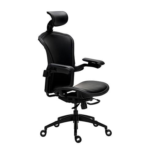 Alphaeon e5 Hybrid - FIN SHOP AUErgonomic Chair