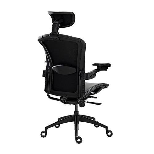 Alphaeon e5 Hybrid - FIN SHOP AUErgonomic Chair