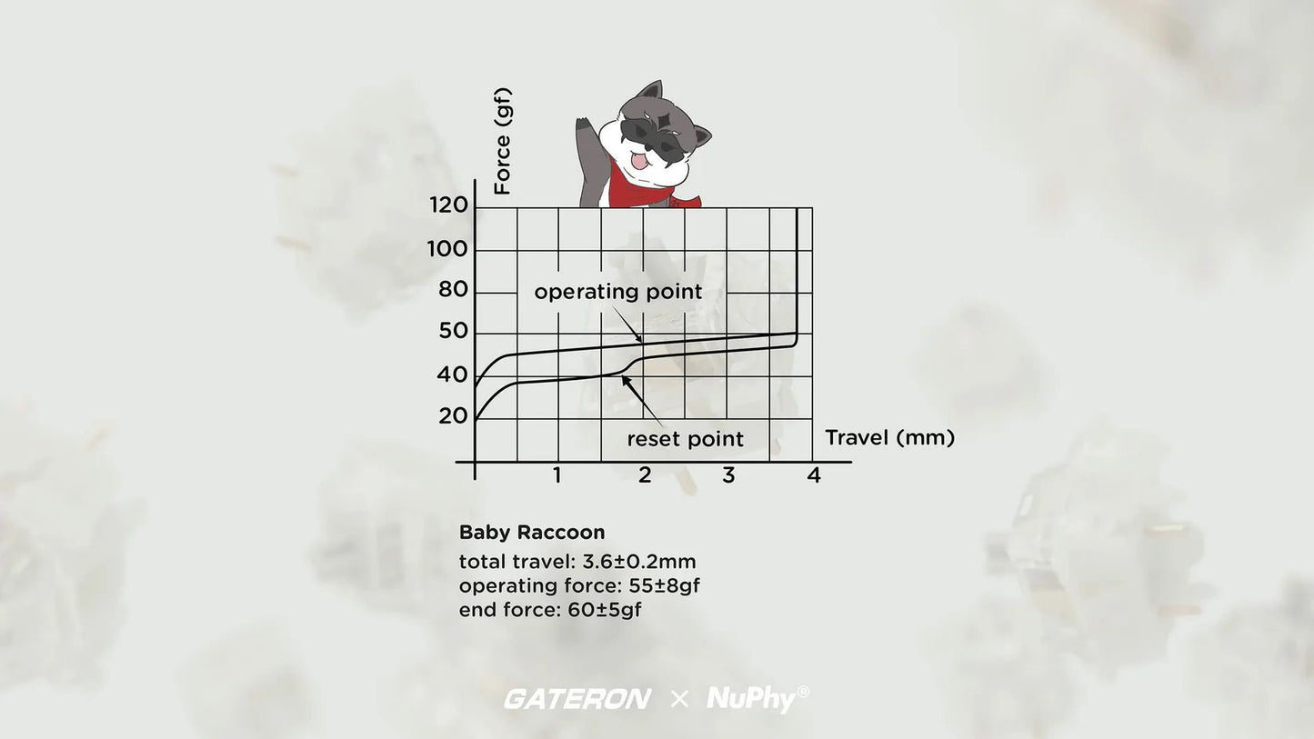 NuPhy Gateron Baby Raccoon Switches - 110pcs/Set - FIN SHOP AU