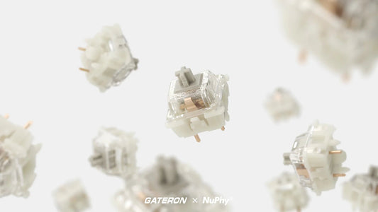 NuPhy Gateron Baby Raccoon Switches - 110pcs/Set - FIN SHOP AU