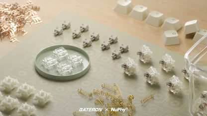 NuPhy Gateron Baby Raccoon Switches - 110pcs/Set - FIN SHOP AU